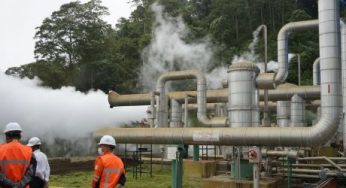 Kembangkan Energi Panas Bumi Ulumbu, PLN Gelar ‘Tabe Gendang’ untuk Hormati Adat Manggarai