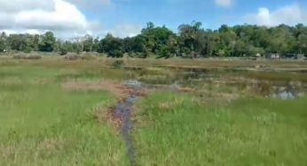 Warga TTS Diserang Buaya di Danau Supul, Begini Kondisi Korban